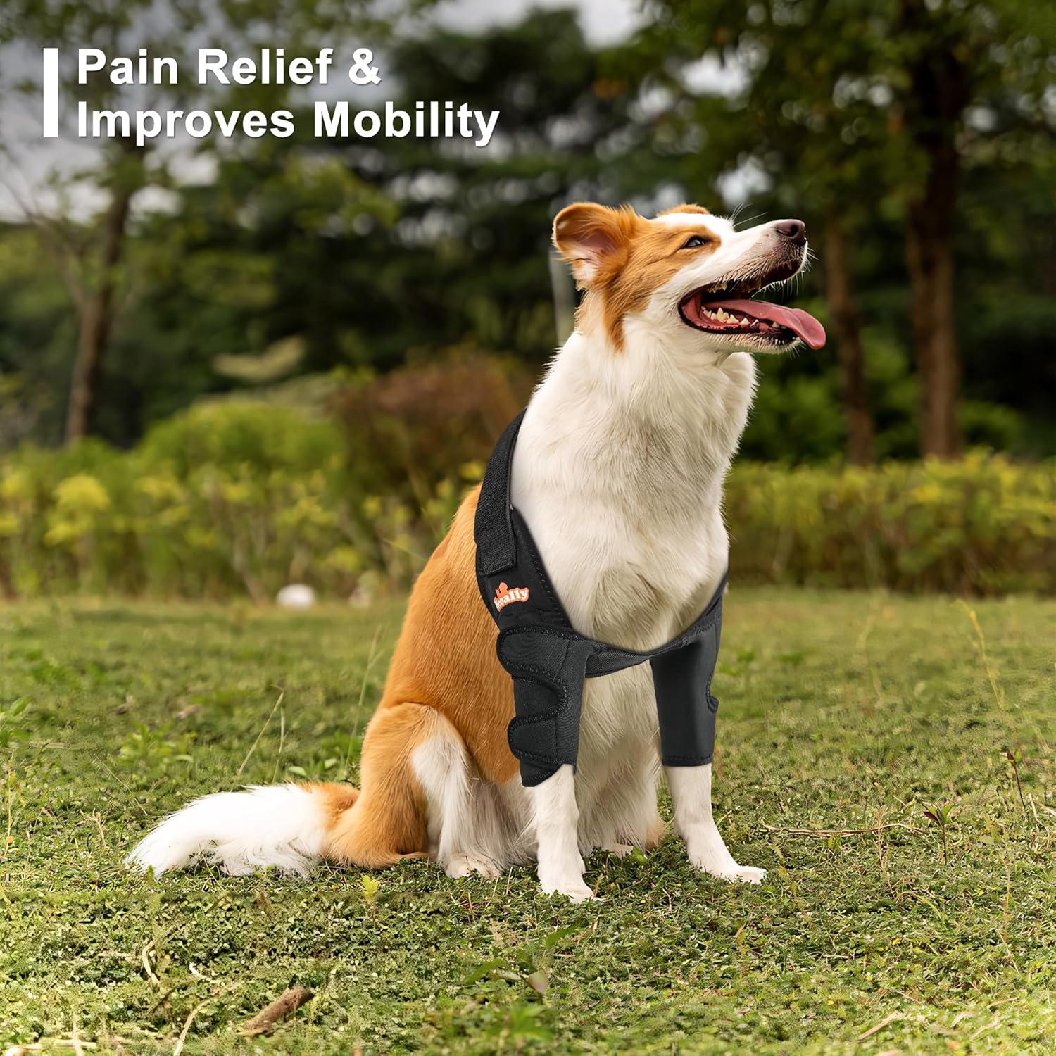 NeoAlly Breathable Dog Elbow Brace Protector Pads for Canine Elbow and Shoulder Support Elbow Hygroma, Dysplasia, Osteoarthritis, Elbow Calluses, Pressure Sores and Shoulder Dislocation (Right Large) - Happypetzone.online - Image 6