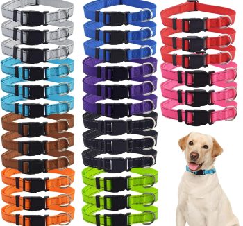 cheap dog collars bulk
