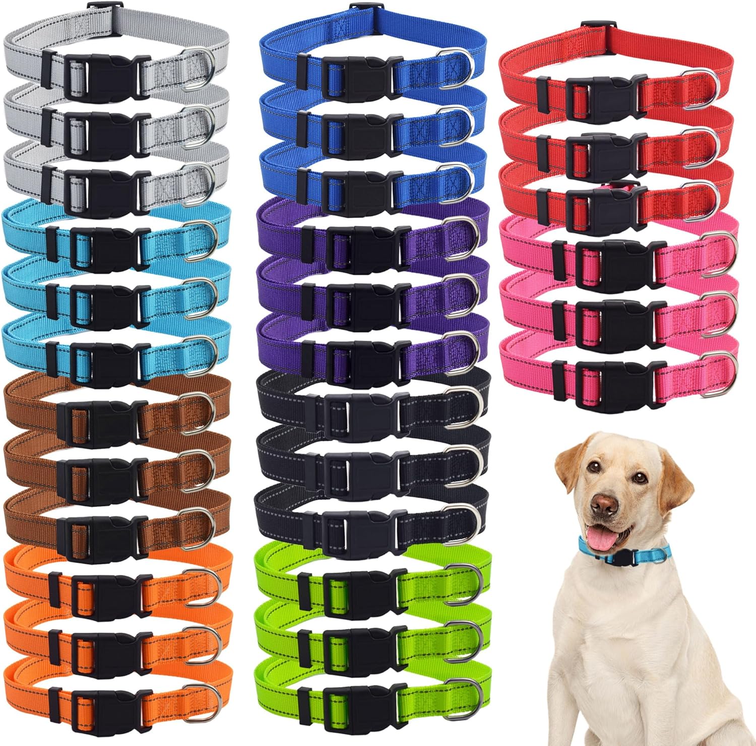 cheap dog collars bulk