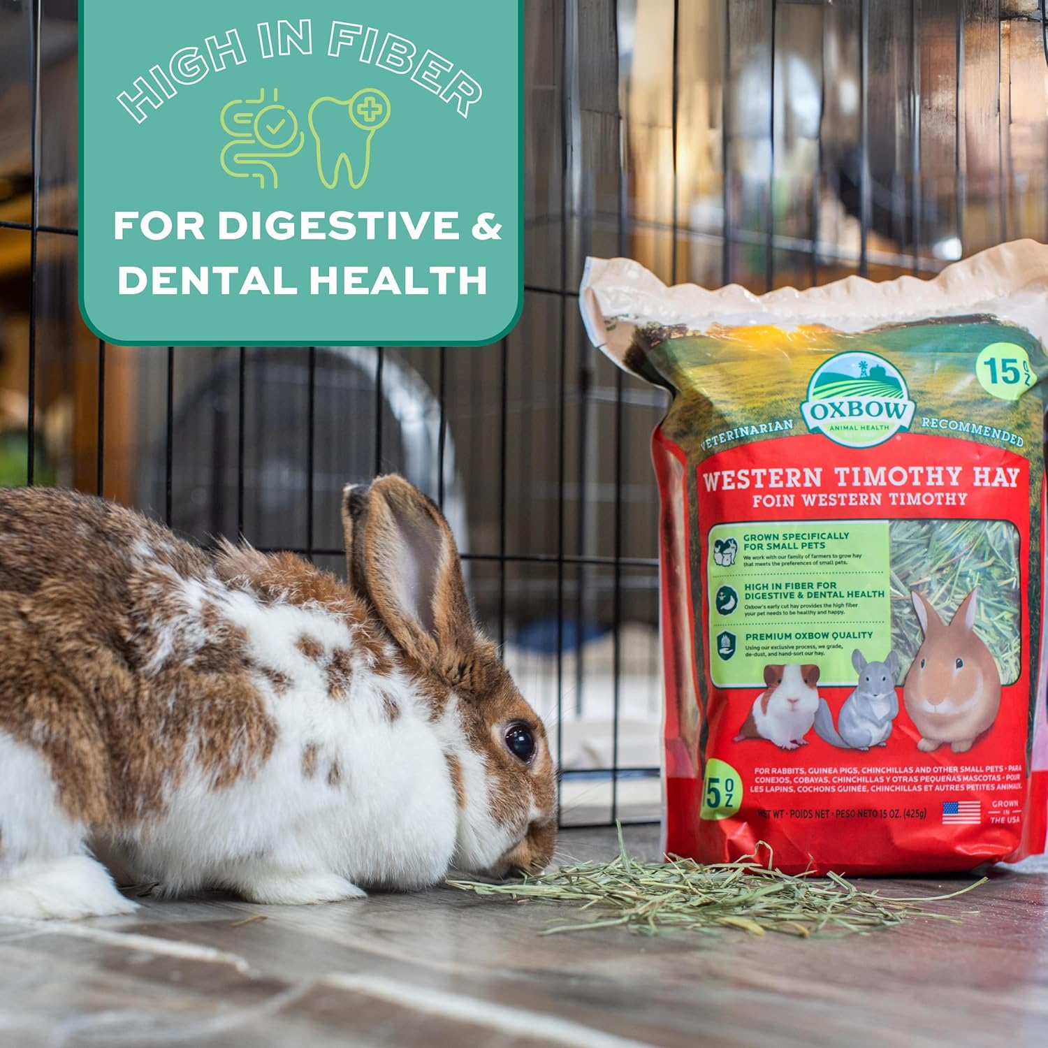 Oxbow Western Timothy Hay for Small Pets – All-Natural Grass Hay for Rabbits, Guinea Pigs, and Chinchillas – High Fiber for Digestive Health and Dental Support – 40 oz Bag - Happypetzone.online - Image 12