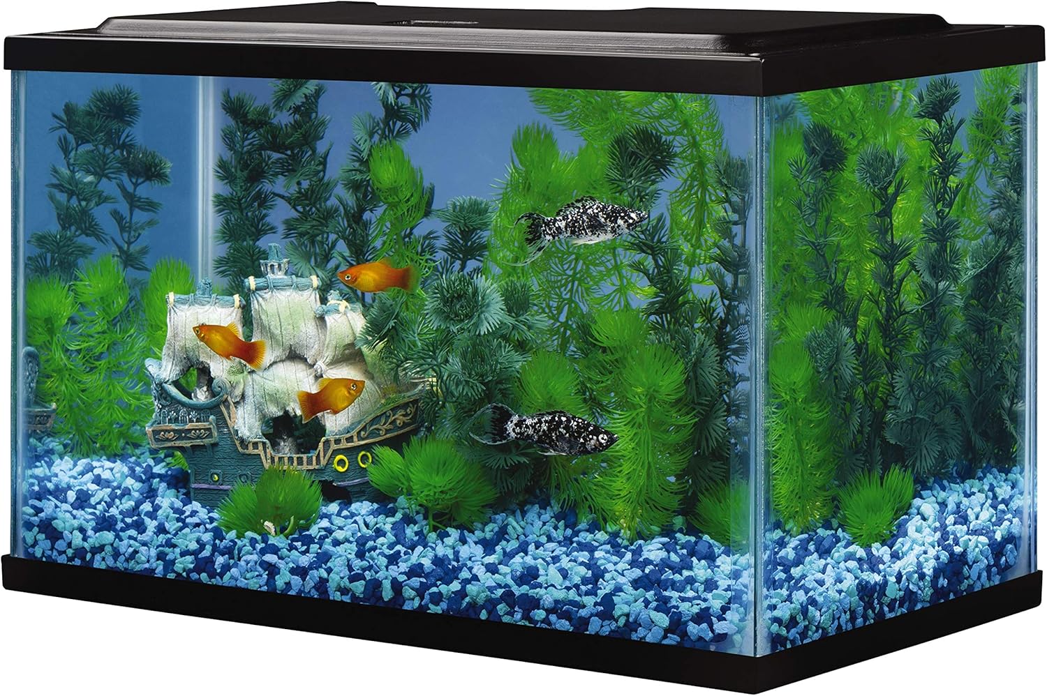 Tetra Glass Aquarium 5.5 Gallons, Rectangular Fish Tank - Happypetzone.online - Image 3