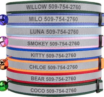 cat collar safety breakaway