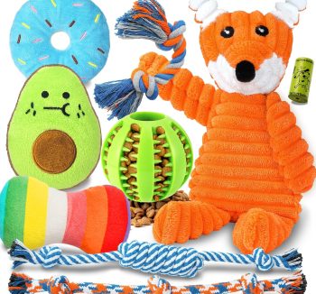 dog toys for small dogs