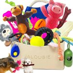 dog toy bundle set