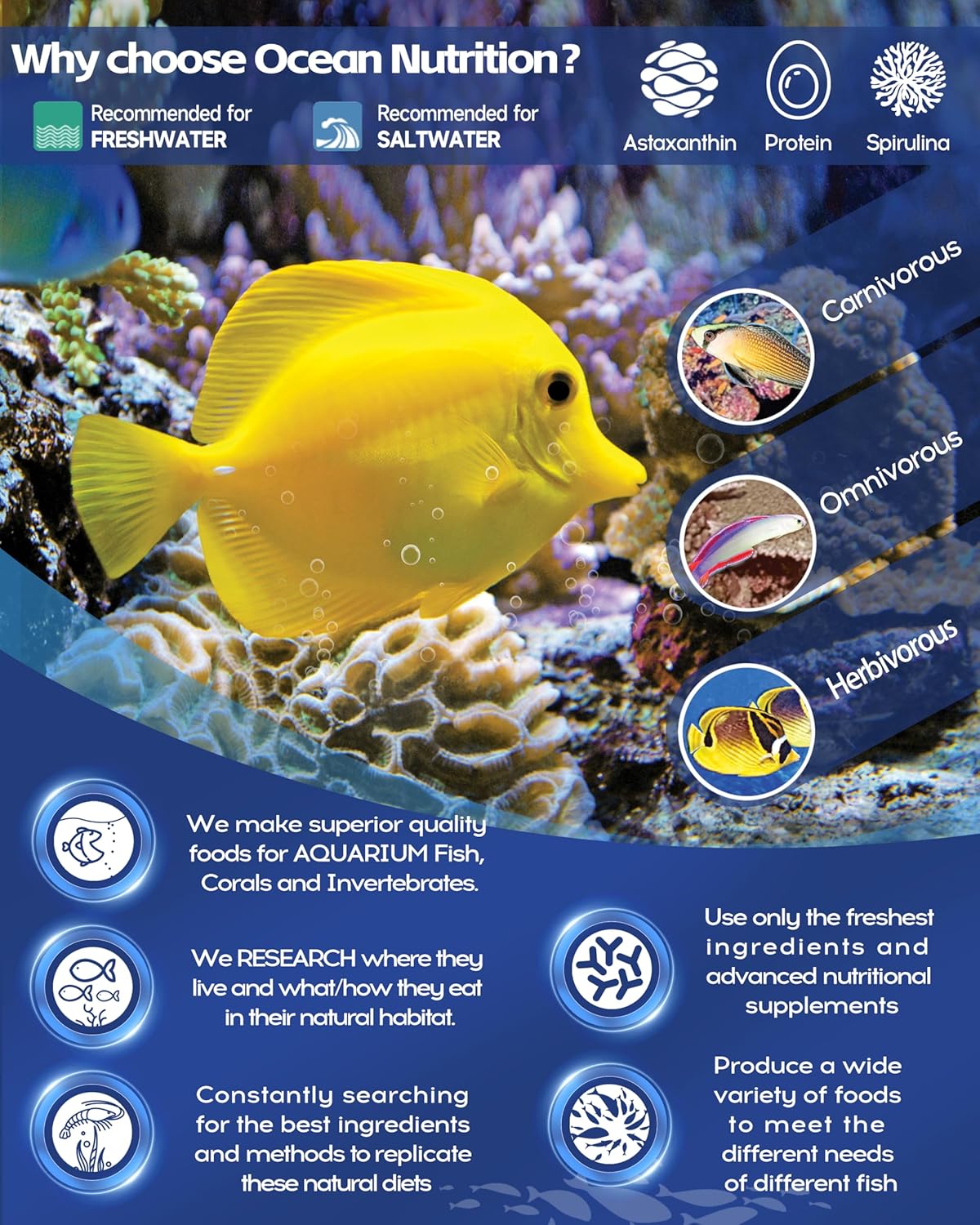 Feeding Station for fish - Happypetzone.online - Image 7