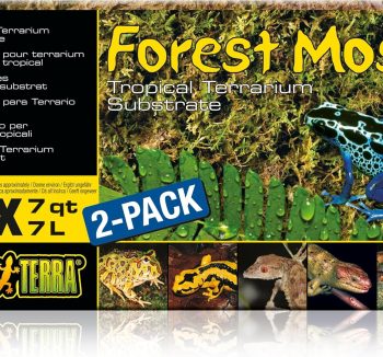 reptile substrate for humidity