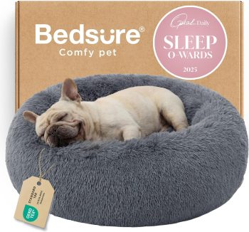 best cat bed