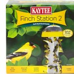 finch bird food