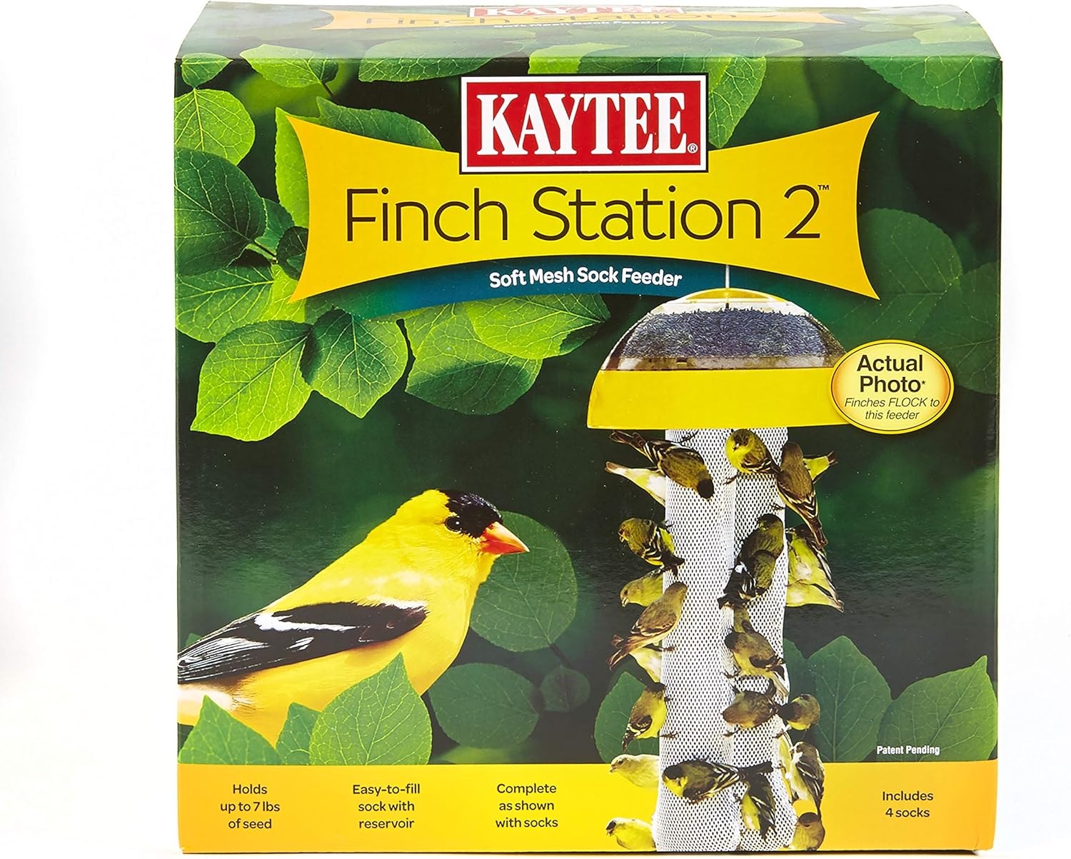 finch bird food