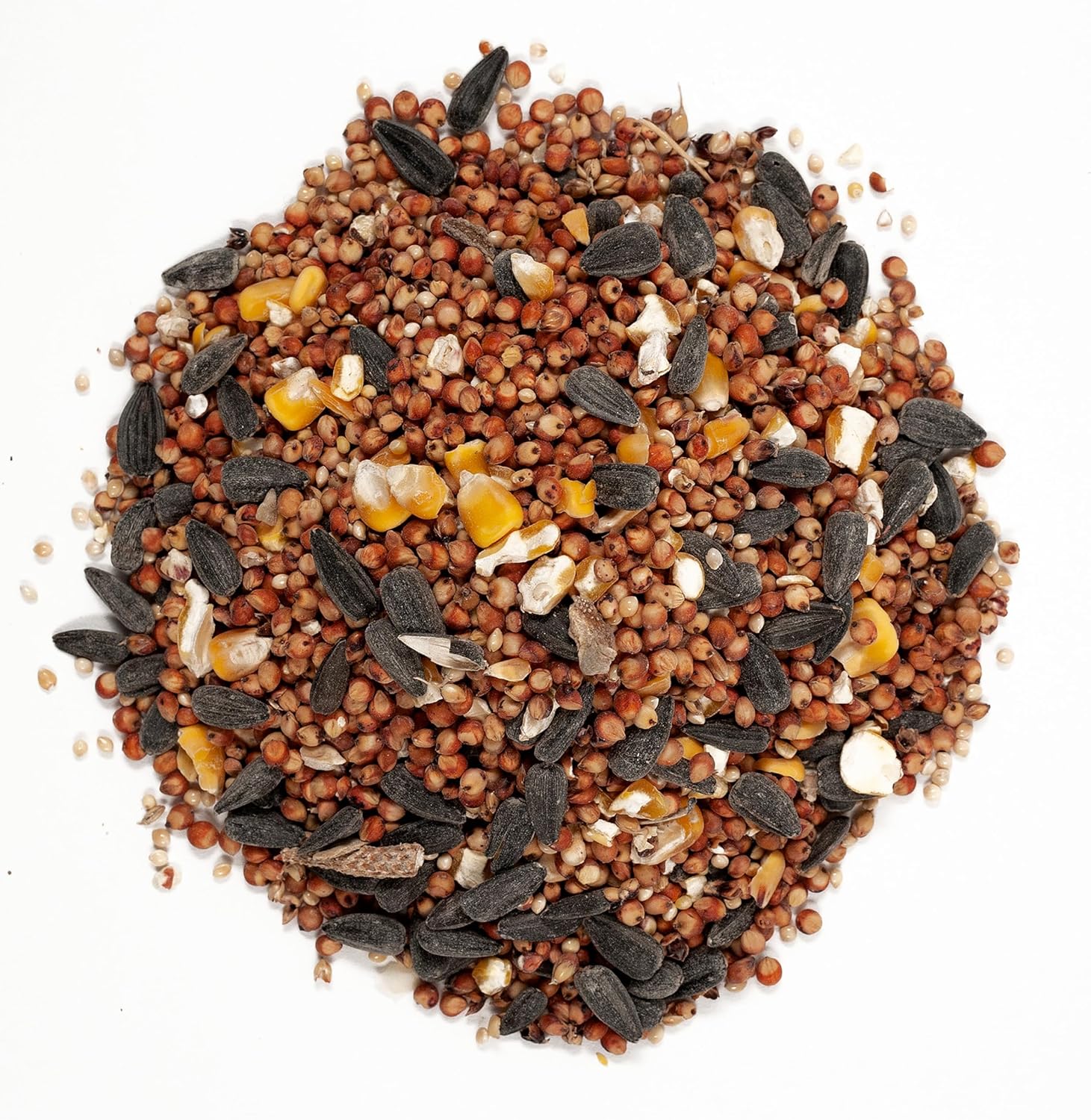 Wagner's 53002 Farmer's Delight Wild Bird Food with Cherry Flavor, 10-Pound Bag - Happypetzone.online - Image 3