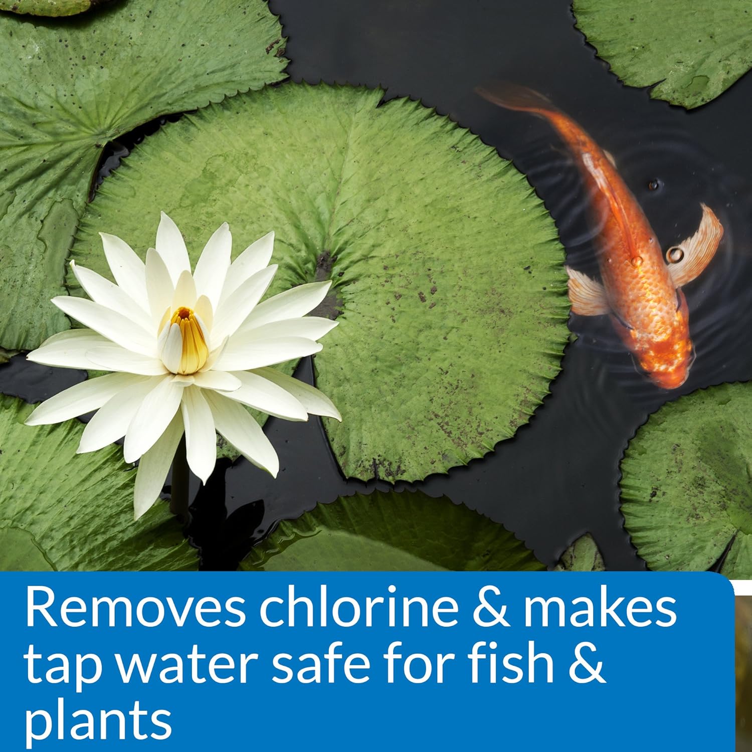 API POND CHLORINE & HEAVY METAL NEUTRALIZER Pond Water Neutralizer 32-Ounce Bottle - Happypetzone.online - Image 4