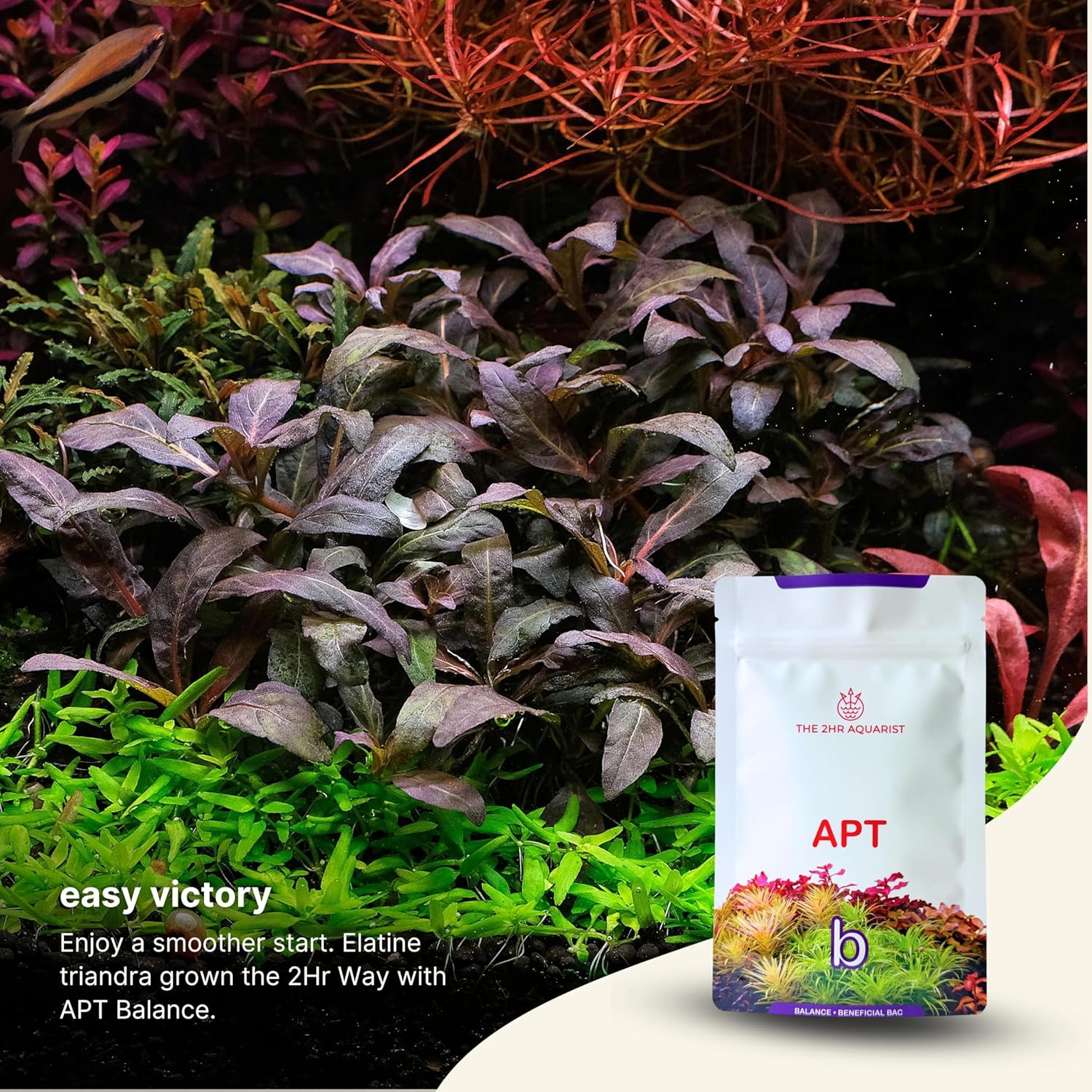 2Hr Aquarist APT Balance Freshwater Aquarium Starter Bacteria - Happypetzone.online - Image 4