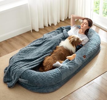 luxury dog bed