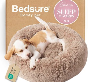best cat bed