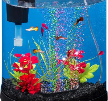fish tank starter kit