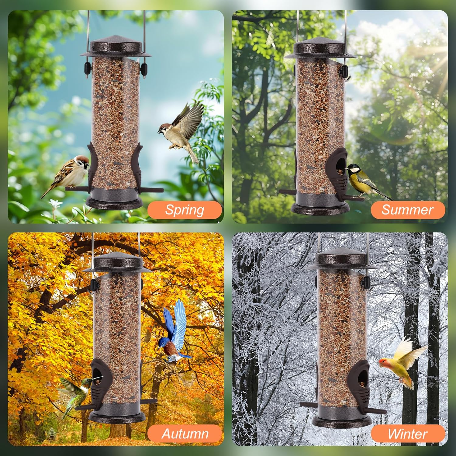 Bird Feeders with 4 Packs Birds Food Outdoors Hanging,Wild Bird Feeder with Hanger Hook Weather Resistant 9 Inches 2 Port(Bird Food is Included) - Happypetzone.online - Image 5