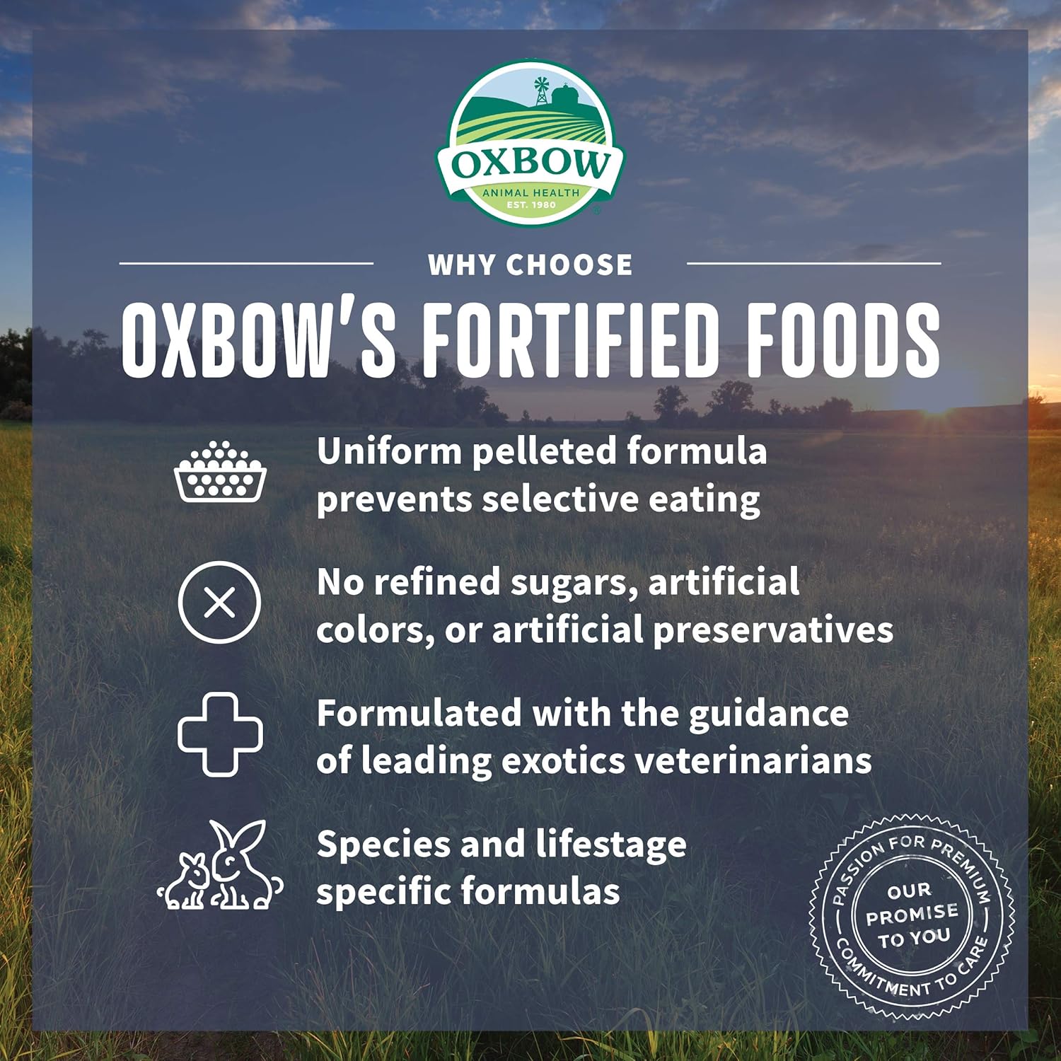 Oxbow Garden Select Guinea Pig Food, Adult, Made with Oxbow Timothy Hay for Guinea Pig, Pet Food Pellets with Vitamin C, Non-GMO, Small Animal Pet Products, Made in USA, High Fiber, 8 lb. Bag - Happypetzone.online - Image 4