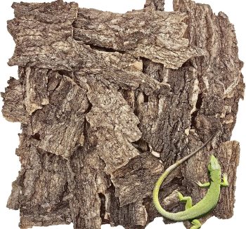 reptile bark bedding