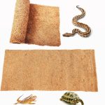 reptile coconut fiber bedding