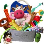 small pet toy bundle