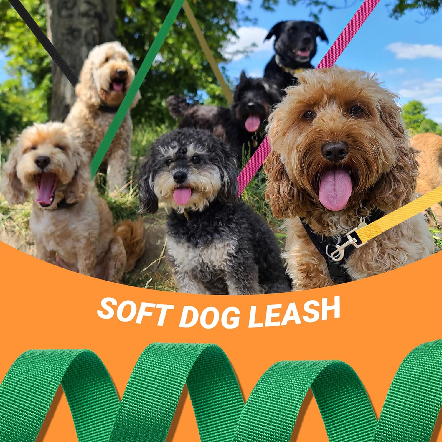 12 Pcs Dog Leashes for Small Medium Large Dogs, 6FT Lead Short Dog Leash with Swivel Hook for Walking, Training, Hiking, Rescues, Grooming, Shelter, Outdoor - Happypetzone.online - Image 5