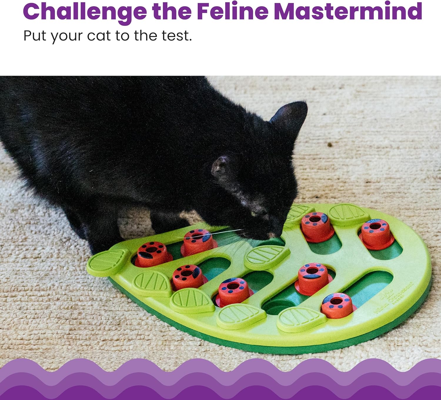 Catstages Nina Ottosson Buggin' Out Puzzle & Play – Interactive Cat Puzzle Feeder for Indoor Cats, 16 Hidden Treat Compartments, Slow Feeder, Durable & Easy-Clean, 13in x 9.5in - Happypetzone.online - Image 2