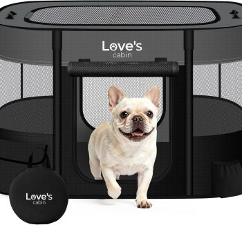 dog travel crate