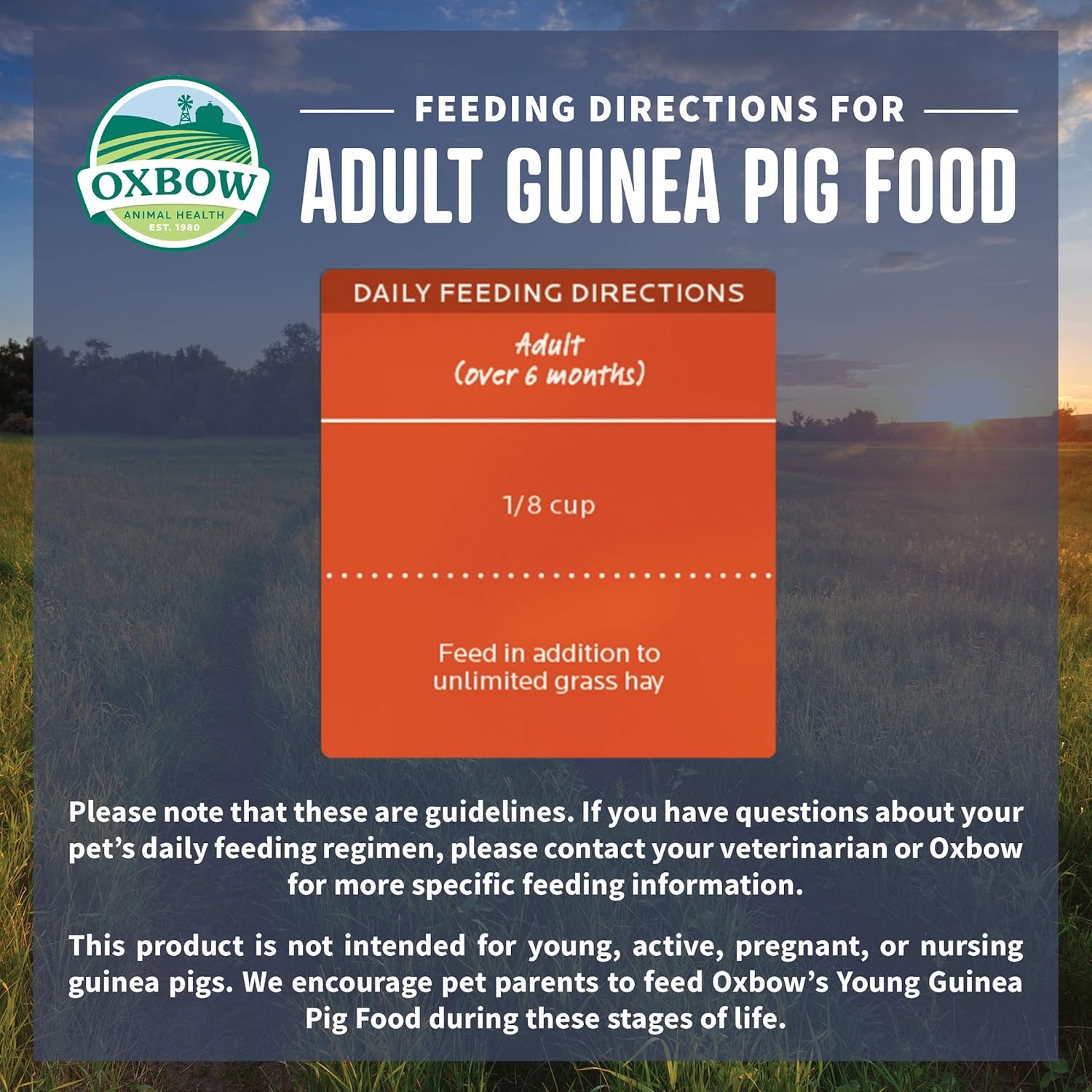 Oxbow Garden Select Guinea Pig Food, Adult, Made with Oxbow Timothy Hay for Guinea Pig, Pet Food Pellets with Vitamin C, Non-GMO, Small Animal Pet Products, Made in USA, High Fiber, 8 lb. Bag - Happypetzone.online - Image 5
