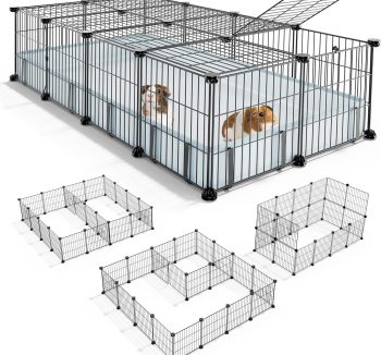 guinea pig enclosure indoor