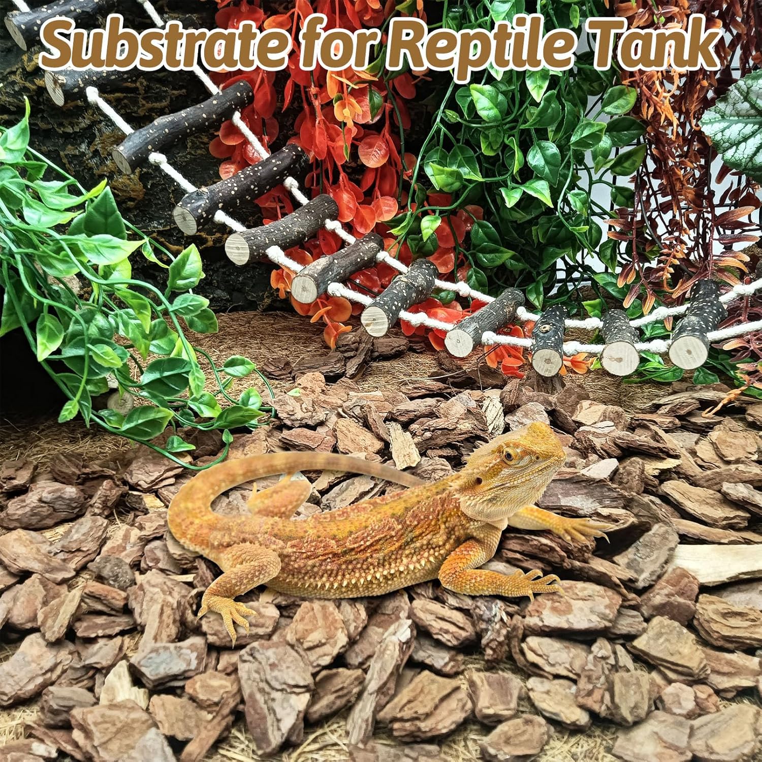 BNOSDM Reptile Pine Bark Substrate 17oz Tortoise Bedding for Habitat Natural Flat Cork Wood Bulk Terrarium Reusable Bark Pieces for Lizard, Crested Gecko, Spider, Chameleon, Ball Python, Tree Frog - Happypetzone.online - Image 6