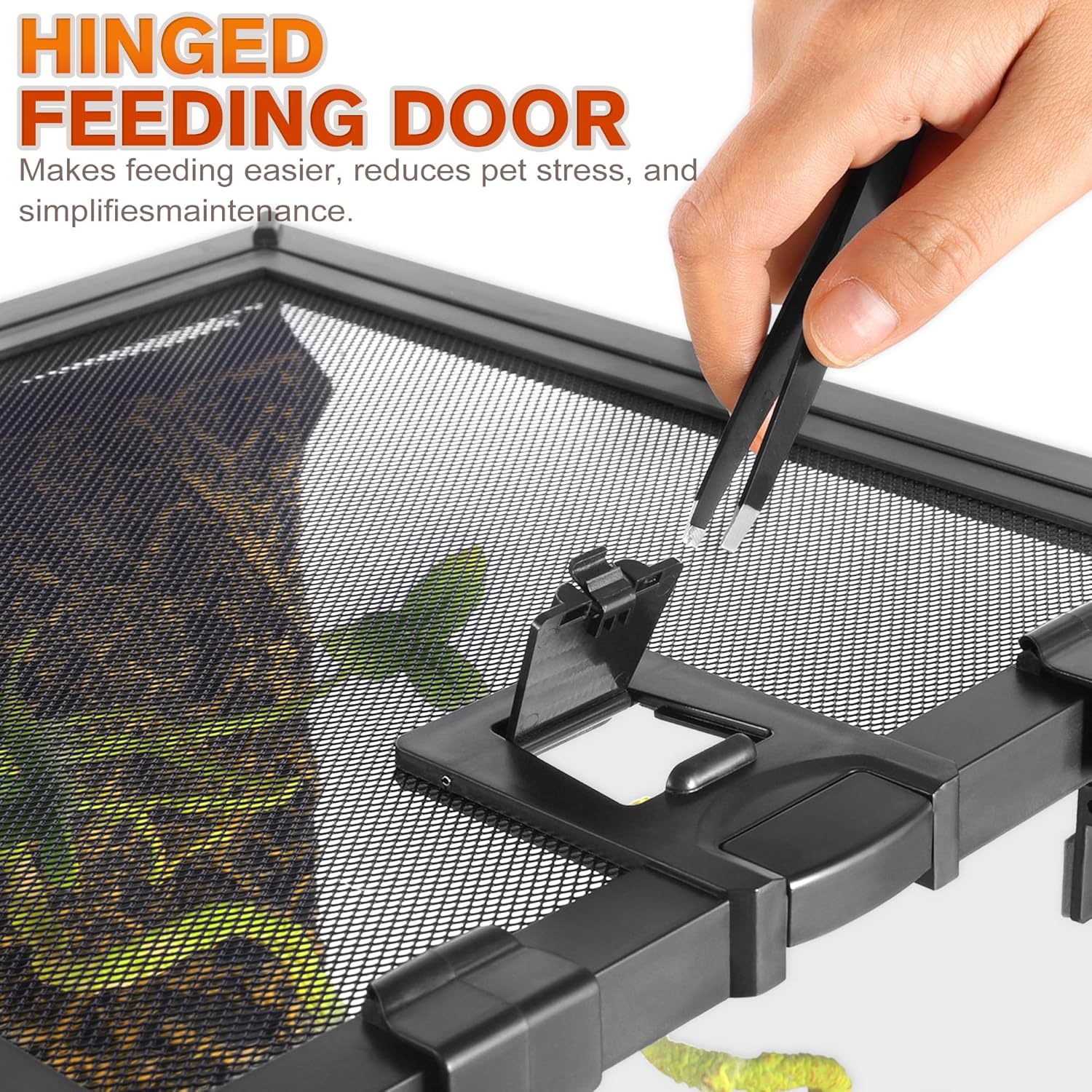 Mini Reptile Glass Terrarium Vivarium 12'' x 8'' x 6'' Full View Tank Small Amphibians Glass Habitat Cage with Feeding Slot & Box Lock Buckle - Happypetzone.online - Image 2