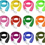 dog leash set