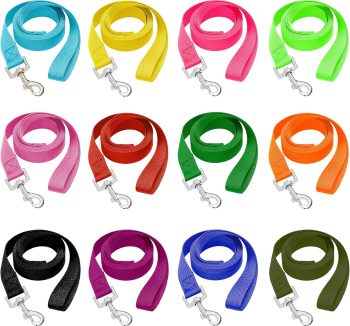 dog leash set