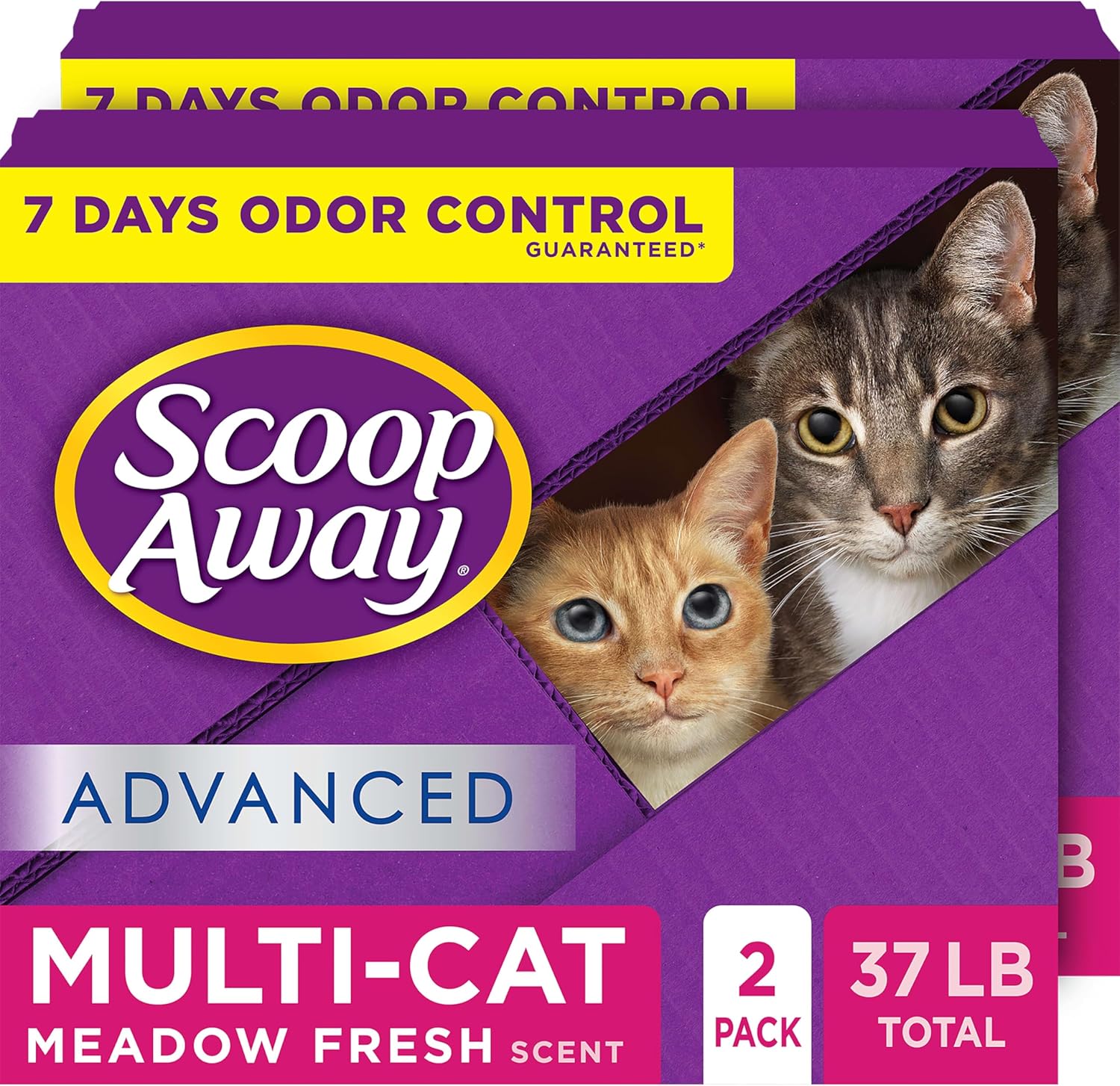 self cleaning litter box