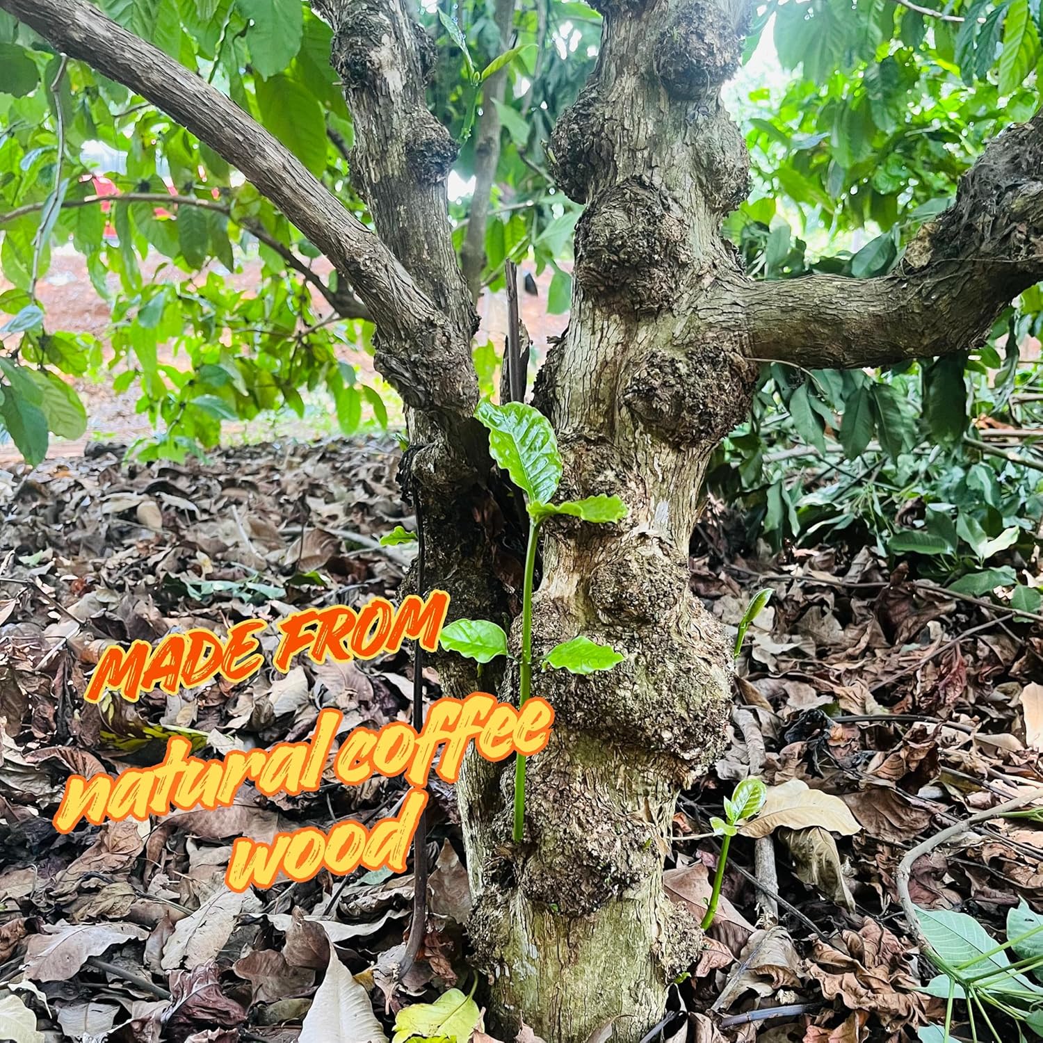 Coffee Wood Dog Chew Stick Toy for Dog, Made from Real Coffee Wood, Sticks for Pets, Safe Dental Cleaning Chews, Pets Health, Teeth Cleaning and Relieve Stress (Small) - Happypetzone.online - Image 7
