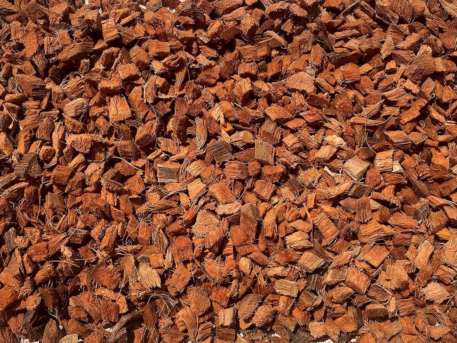 MODELLOR Premium Super Washed, Clean, Coco Chips, 2 Bricks (2.2 lb.) yields 14 Qts. of Loose Chips. Plant Substrate, Organic, Reptile Bedding, Odor Absorbing, Grow Orchids, Mulch Indoor, Outdoor. - Happypetzone.online - Image 2