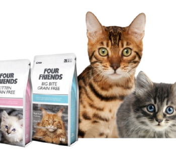 Cats