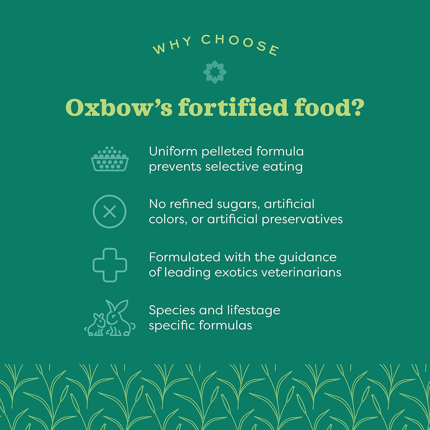 Oxbow Organic Bounty Adult Guinea Pig Food, Organic Guinea Pig Pellets Made with Timothy Hay, Stabilized Vitamin C, Small Animal Pet Products, Small Animal Food Made in USA, High Fiber, 3 lb. bag - Happypetzone.online - Image 3