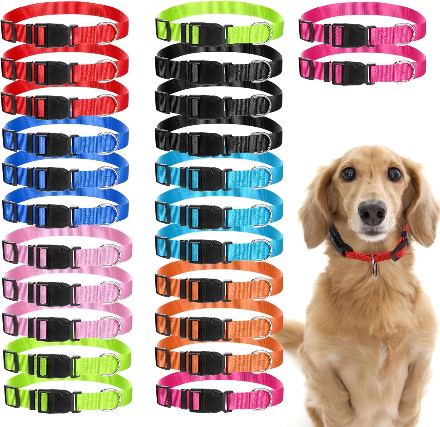 cheap dog collars bulk