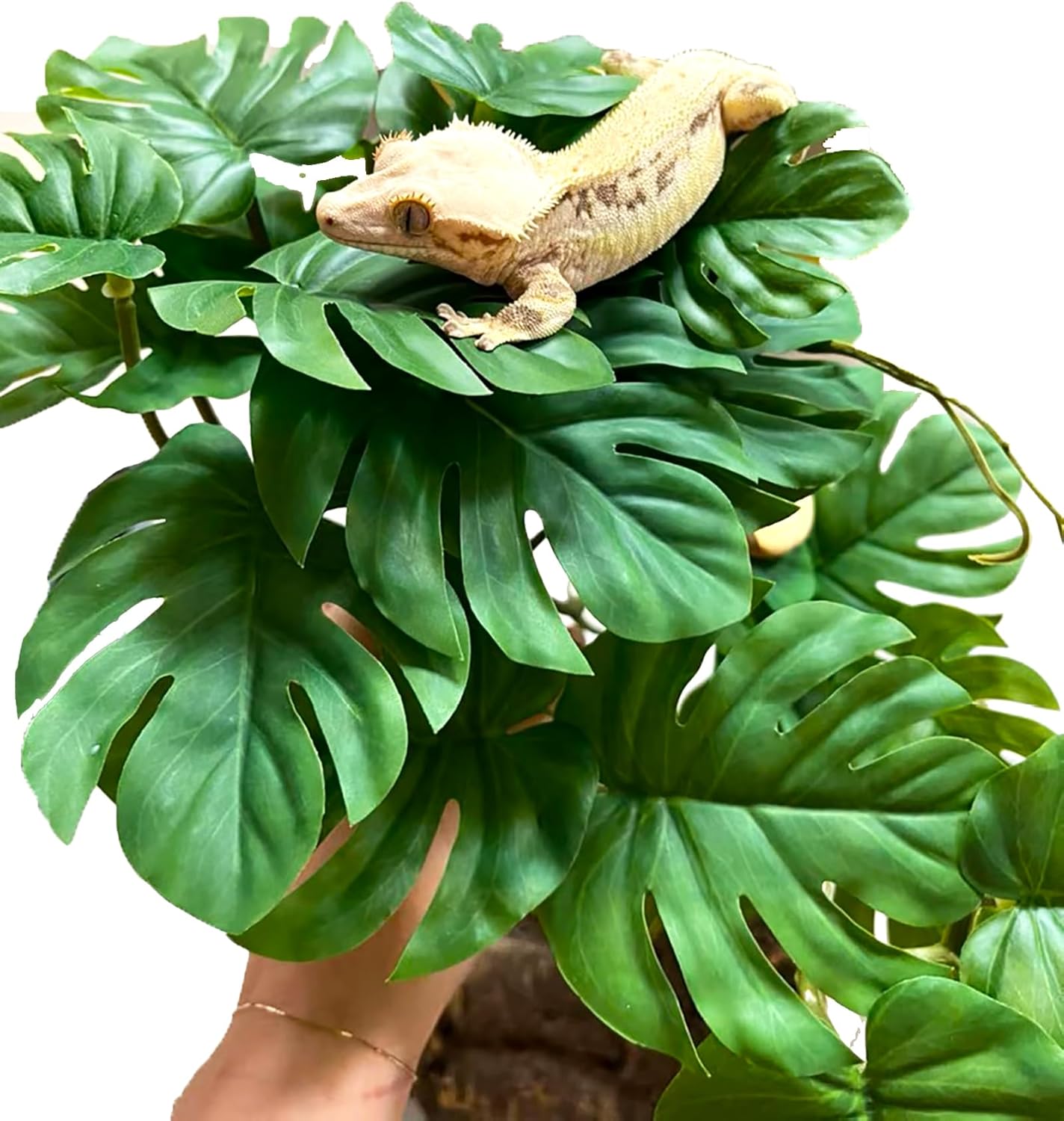 Woyrise Reptile Artificial Plants for Terrarium, Amphibian Habitat Decor Plant, Bearded Dragon Tank Decorations fit Gecko Lizard Chameleon Ball Python Snake Frog - Monstera Bush - Happypetzone.online - Image 3