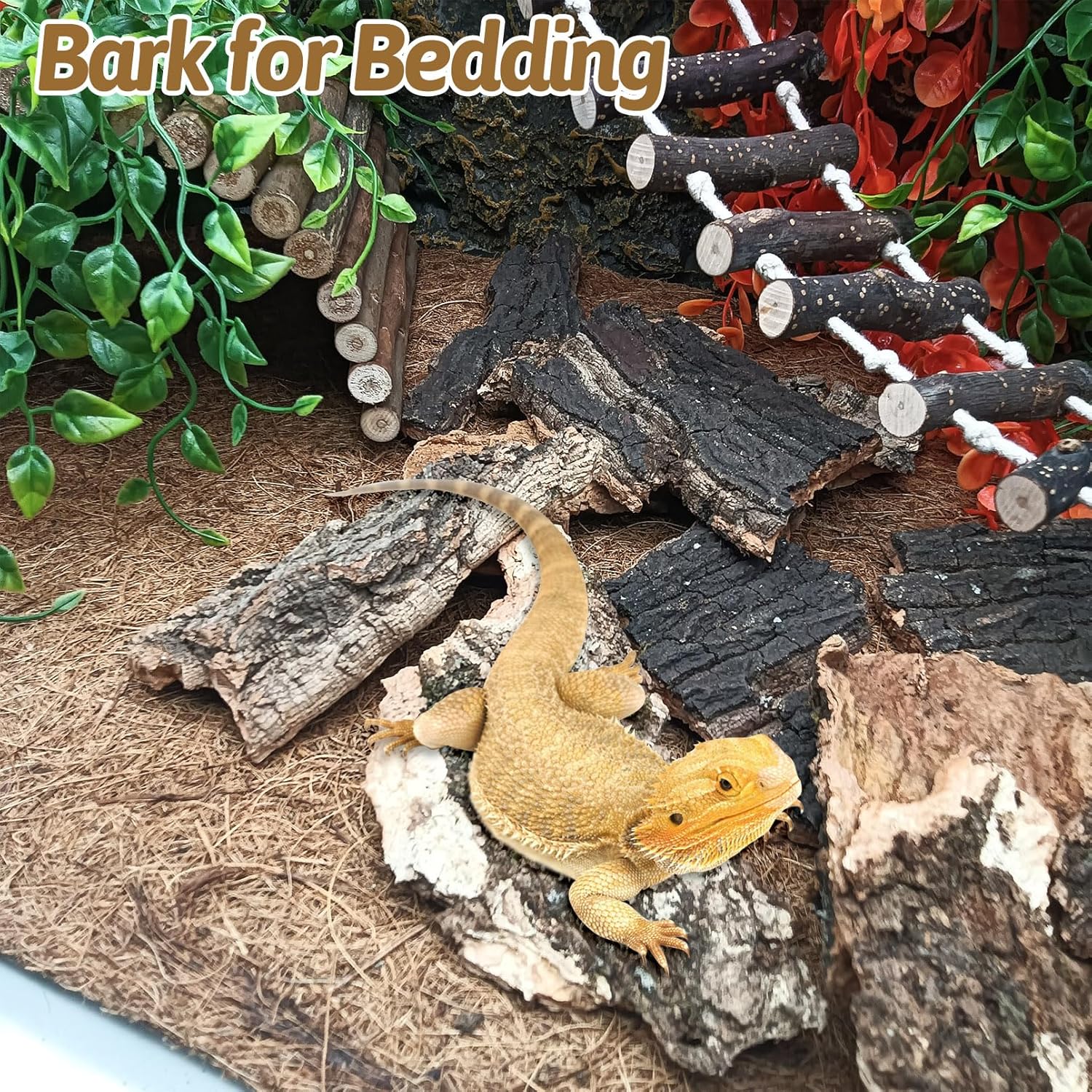 BNOSDM Reptile Cork Bark Substrate 1.5LB Lizard Bedding for Habitat Natural Flat Cork Wood Bulk Terrarium Reusable Bark Pieces for Chameleon, Ball Python, Crested Gecko, Spider, Tortoise, Tree Frog - Happypetzone.online - Image 3