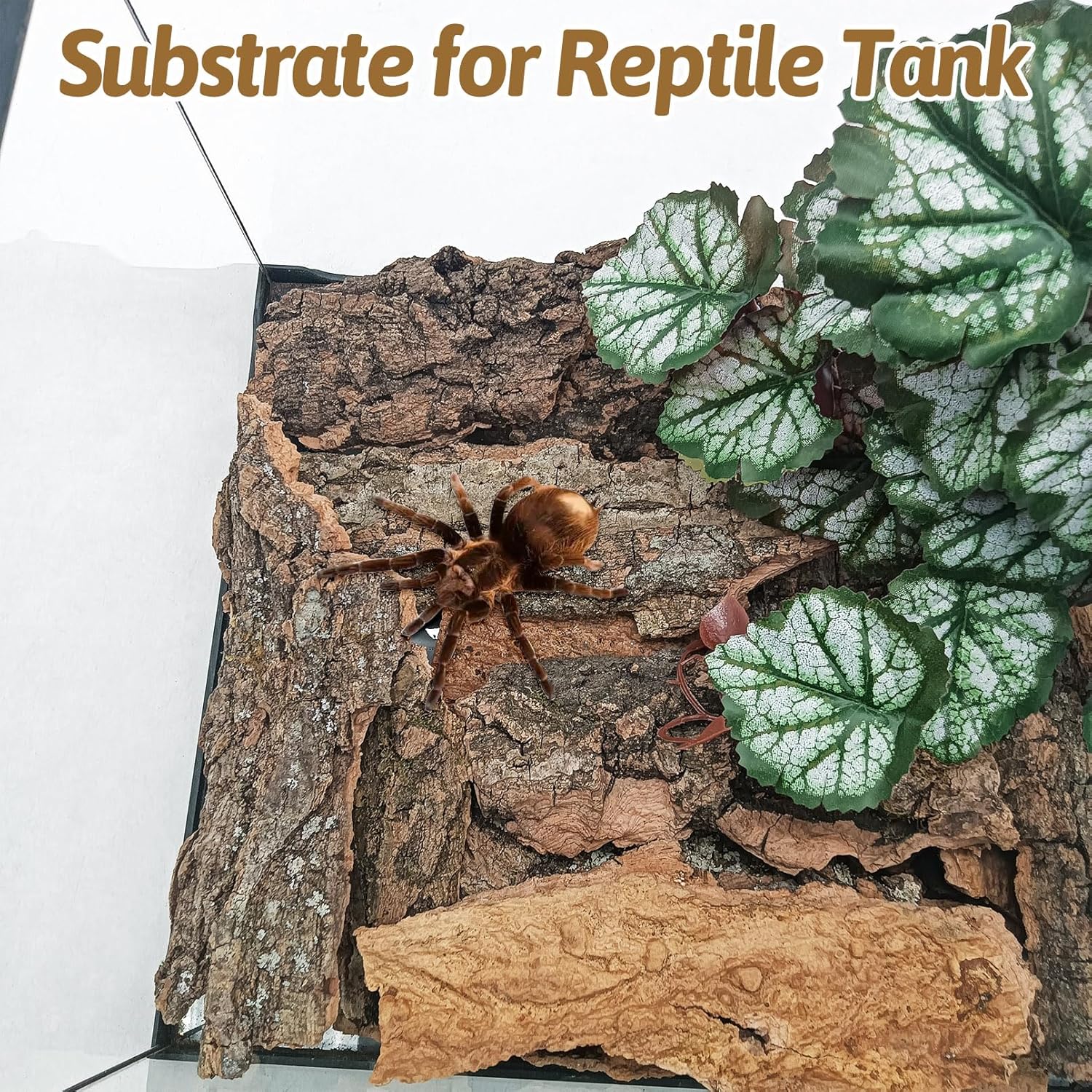 BNOSDM Reptile Cork Bark Substrate 1.5LB Lizard Bedding for Habitat Natural Flat Cork Wood Bulk Terrarium Reusable Bark Pieces for Chameleon, Ball Python, Crested Gecko, Spider, Tortoise, Tree Frog - Happypetzone.online - Image 6