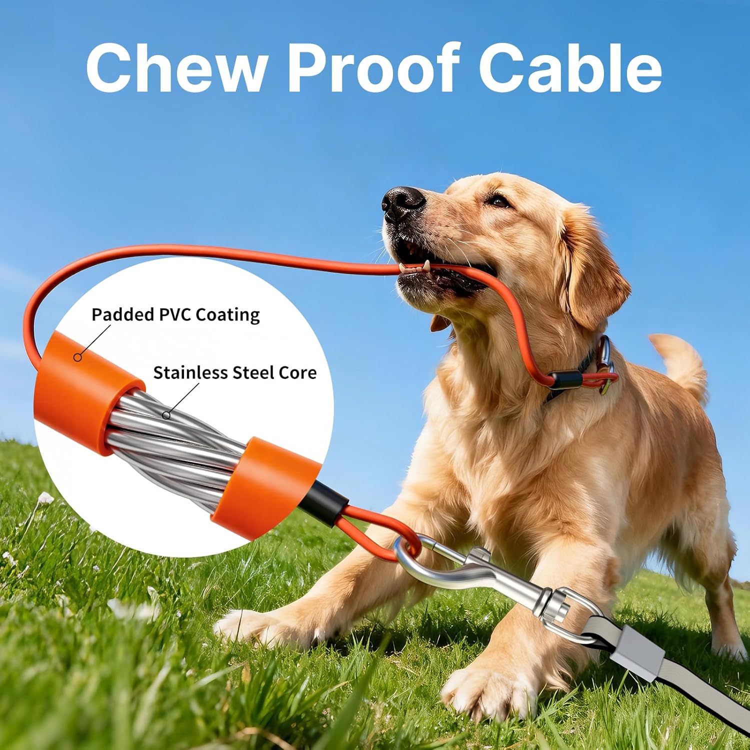10Ft Auto-Brake Retractable Dog Leash with Chew-Proof Steel Cable, 360° Tangle-Free, Shock Absorbing, Built-in Poop Bag Dispenser, Ergonomic Comfort Grip Handle for Small Medium Dogs Up to 60lbs - Happypetzone.online - Image 3