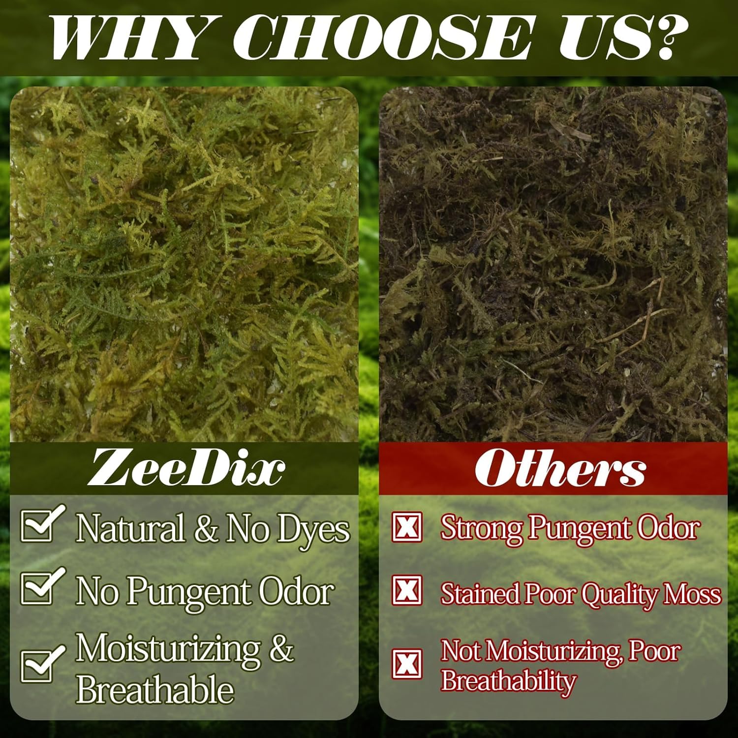 ZeeDix 2.2 lb Sphagnum Moss for Reptiles,20 qt Reptile Bedding Substrate Tank Accessories Terrarium Moss, Green Forest Moss for Leopards Geckos Snakes Turtles Frogs - Happypetzone.online - Image 5