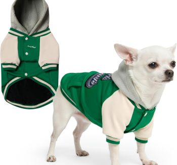 dog sweater warm