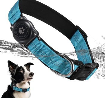 reflective dog collar
