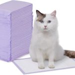 cat accessories amazon