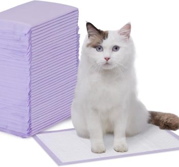 cat accessories amazon