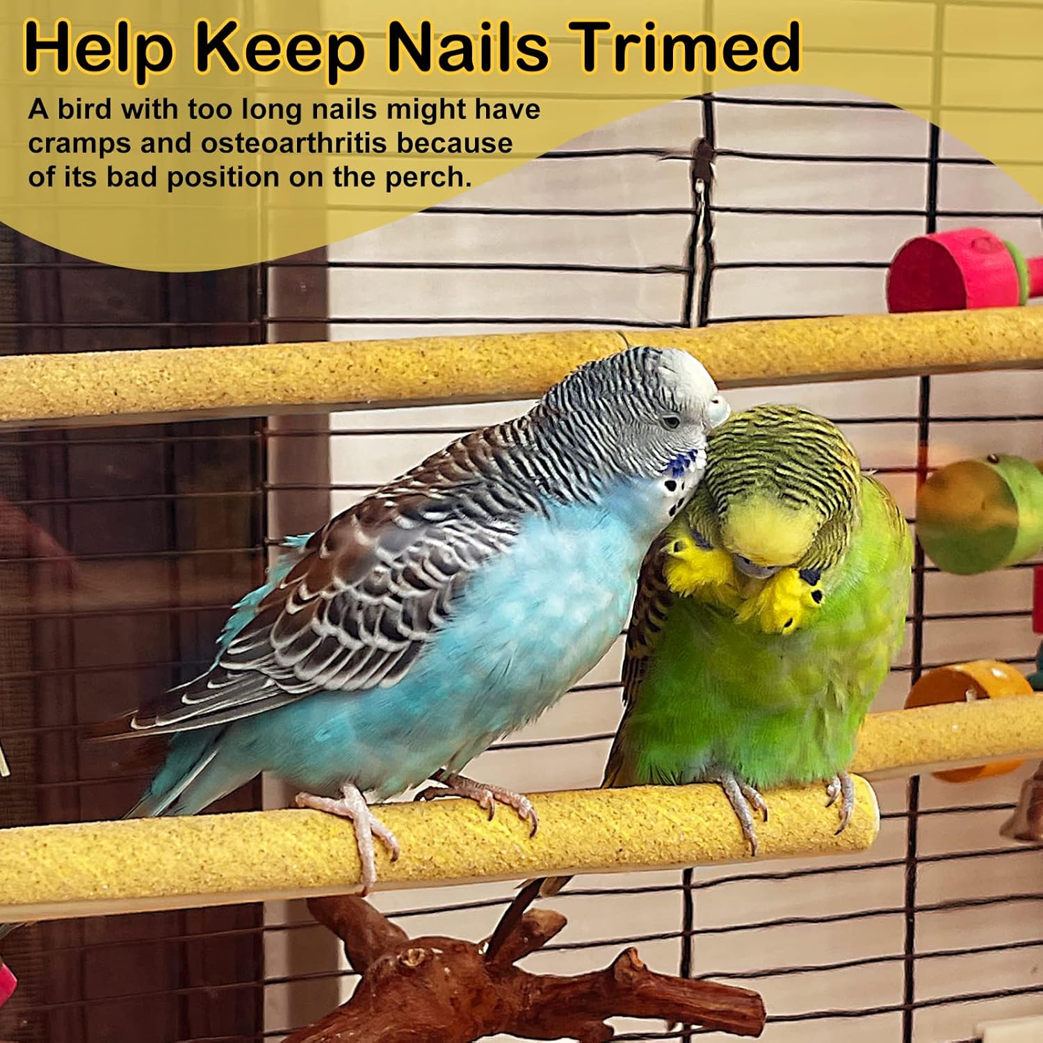 S&X 24-Pack Sand Perch Covers for Parakeets Canaries Finches & Other Small Birds, Bird Perch Covers Sandpaper - Happypetzone.online - Image 2