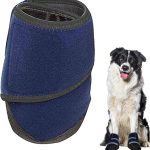 best dog supplements amazon